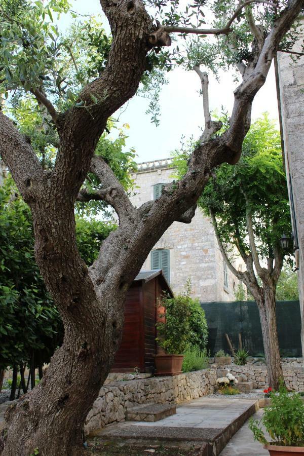 Domus Relax Bed & Breakfast Selva Di Fasano Exterior photo